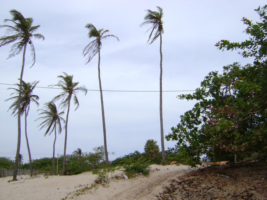 Pousada Paraiso Das Canárias מראה חיצוני תמונה